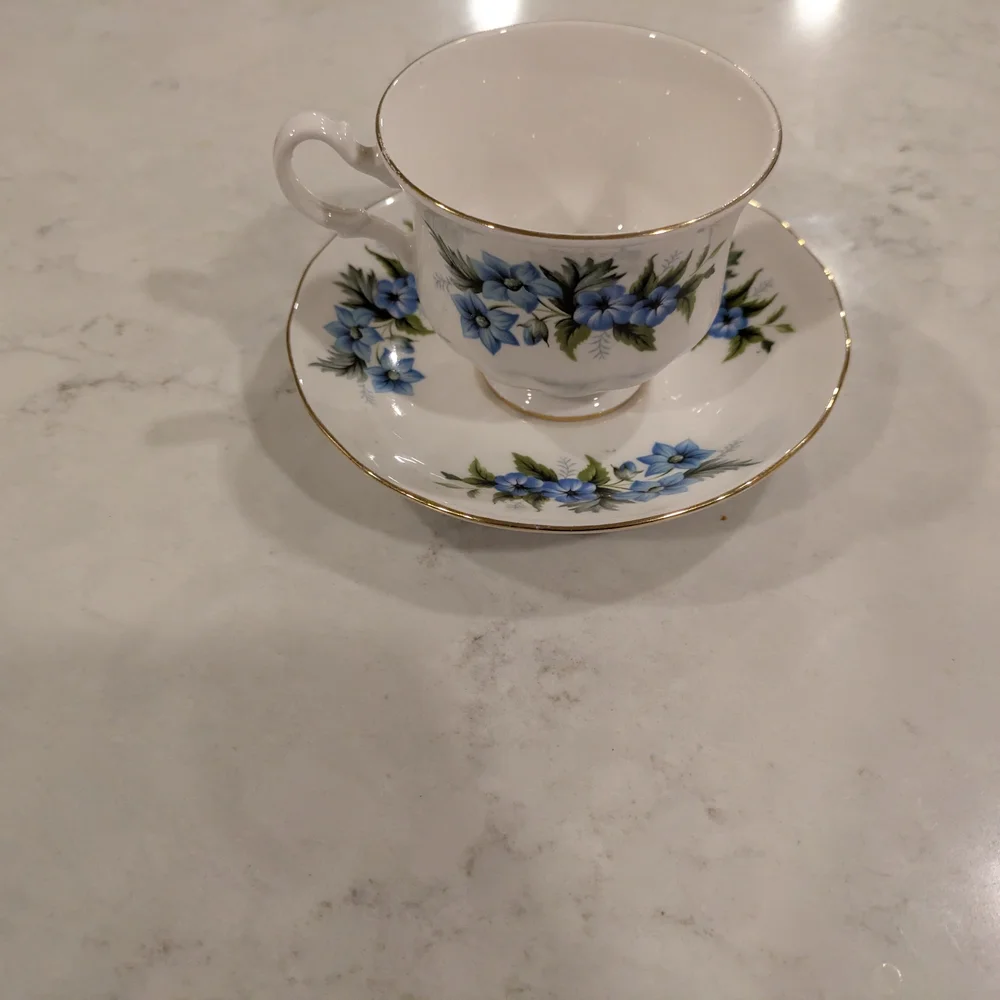Bone China Queen Anne England  Blue Floral Teacup and Saucer Set with Gold Trim